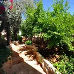 Kaktus Kaş