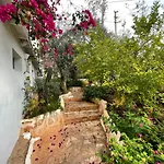 Kaktus Kaş