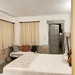 Kaktus