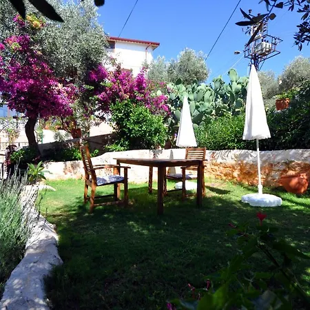 Kaktus Apartahotel 3*