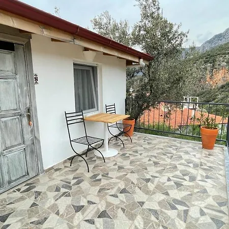 Kaktus 3*