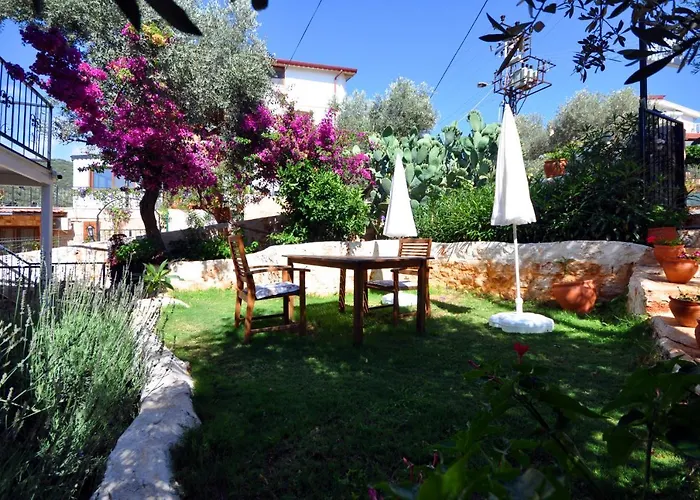 Kaktus Apartahotel 3*