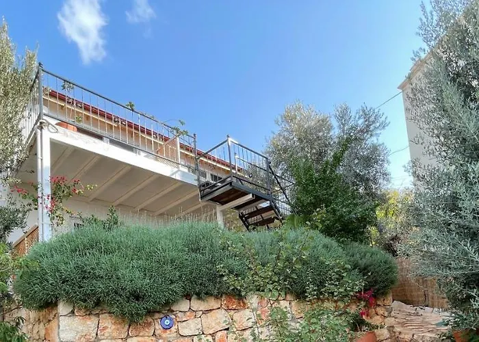 Kaktus Apartahotel 3*