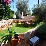 Kaktus 3*