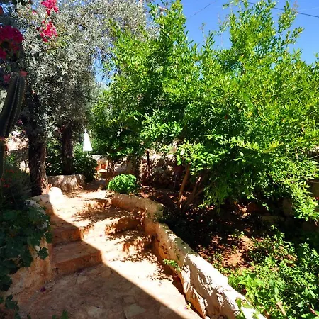 Kaktus Kaş