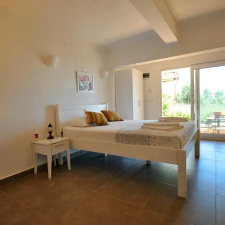 Kaktus Kaş