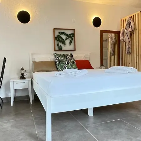 Kaktus 3* Kas