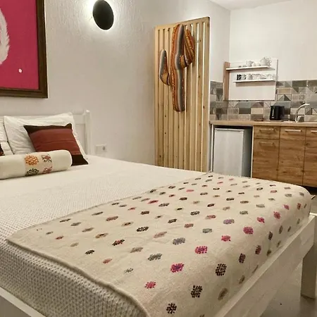 Kaktus 3*