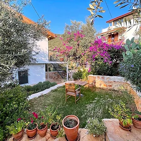 Apartmanhotel Kaktus