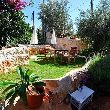 Kaktus Kaş