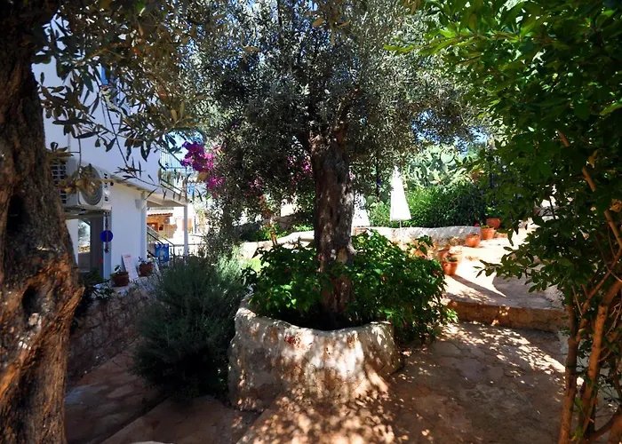 Apartmanhotel Kaktus